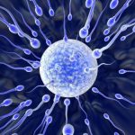 IUI treatment