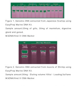 EasyPrep Marine DNA Kit