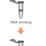 Kít tách ARN