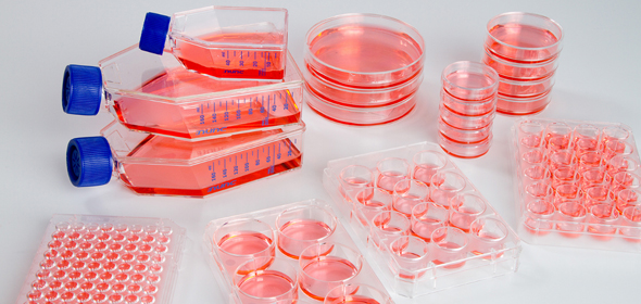 cell-culture-plastics-MF_FP-590 - BIMETECH