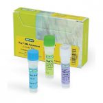 Hot Start Taq DNA Polymerase