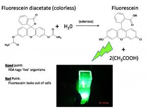 Thuốc nhuộm FDA Fluorescein Diacetate