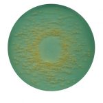 BROLACIN-agar-cled-agar